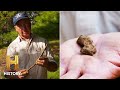 Oak Island Historical Artifacts