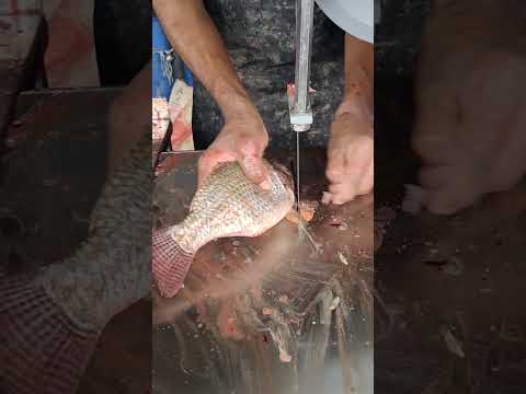 Tilapia Fish Fast Expert Cutter By Machine In Fish Market#shortvideo