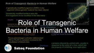 Role of Transgenic Bacteria in Human Welfare