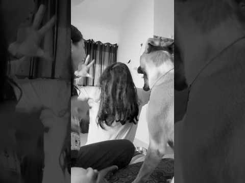 दुनिया की सबसे छोटी भूतिया कहानी🧟 | World’s Smallest Horror Story🔥 | Bloody Vibes #shorts