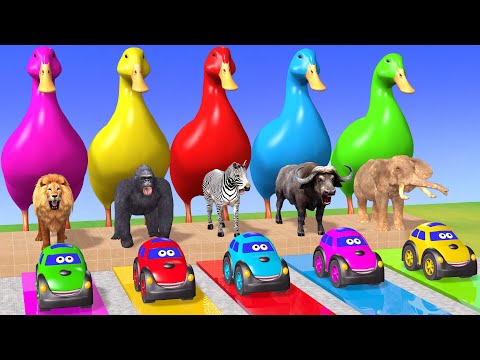Long Slide Game with Cow Elephant Gorilla Hippopotamus Tiger 3d Animal Game Funny 3d Animals