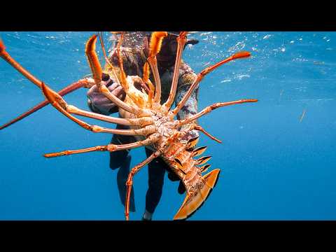 WE DIDN'T EXPECT THIS! (Bahamas Spearfishing Catch & Cook)