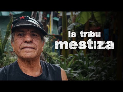 LA TRIBU MESTIZA | Jefe Wambli