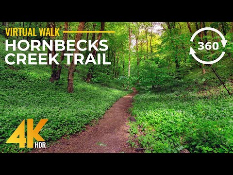 8K Virtual Hike on Hornbecks Creek Trail with Real Sounds - Nature of Pennsylvania in 360° VR