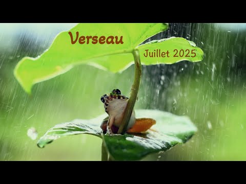 VERSEAU - Juillet 2025 ~ Serait-ce l'âme soeur ??
