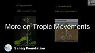 More on Tropic Movements