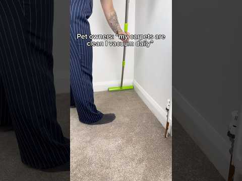 Get the Broom using LlNK lN BlO💁🏼‍♀️ #pethairremoval #cleantok #pets