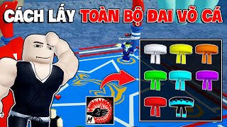 Cách Lấy Toàn Bộ Đai Võ Người Cá Thức Tỉnh Chiêu Trong Blox Fruit