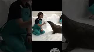 This video will be viral #viralshorts #memesvideo #funny