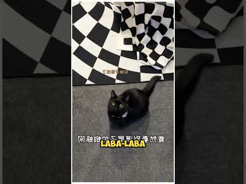 TOTO NEMU JARING KERAMAT