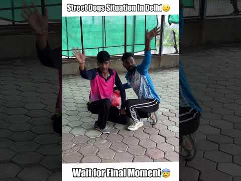Street dogs Situation in Delhi🙁 #trending