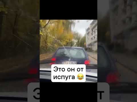 Даже машины сыкуют? #2107 #automobile #reels #memes #youtubeshorts #funny #юмор #гонки #топ #мем