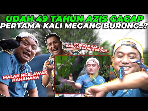 GW BIKIN AZIS GAGAP MELONGO..! SETELAH MASUK, KENA RACUN MAU BUAT AVIARY..!
