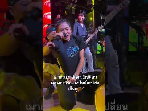 ชอบมากตอนเทอเป็นแบบนี้ #เม้กอภิสิทธิ์ #มาแรง #น่ารัก #วงนิยม #เม้ก_อภิสิทธิ์ #บุญบั้งไฟเดือนหก