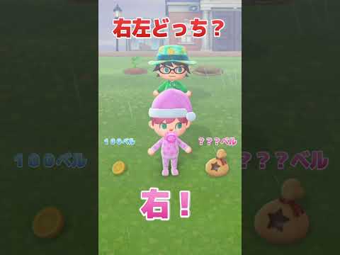 【あつ森】『右左どっち？』ベルをたくさんゲットした結果ｗｗｗｗｗｗｗｗ【 あつまれどうぶつの森 】