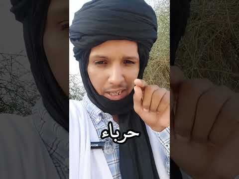 جولة أخرى في بادية شنقيط وأشجارها