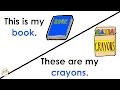 Exploring Singular and Plural Nouns in English