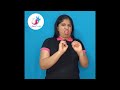 Video Tutorial Structure and Content