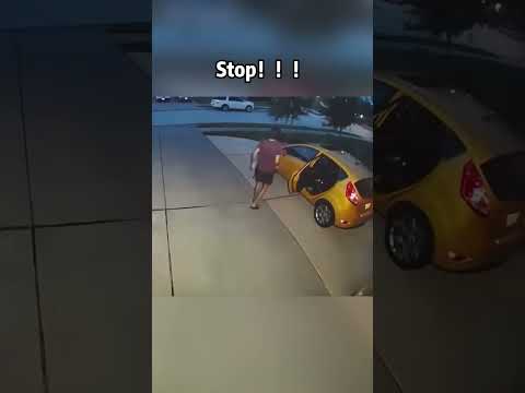 Funny dog#dog #pets #funny #animals #short #shorts