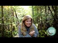 Plant Structure and Adaptations Assessment
