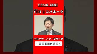小林政調会長　駐大阪中国領事　ペルソナノングラータへ#高市早苗 #政治 #ニュース