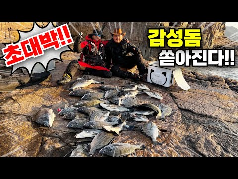 사고쳤다! 감성돔이 막 쏟아지는 짜릿한 2시간 낚시! 입질이 폭발하는구나!