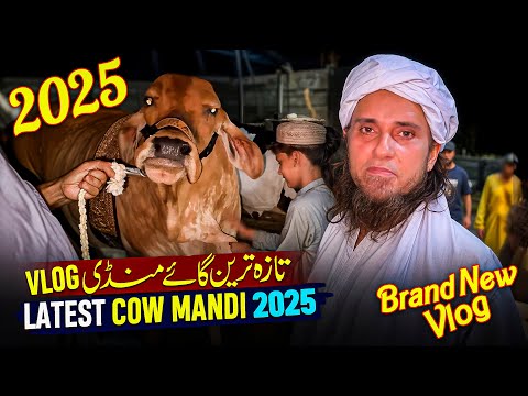 A Brand New Cow Mandi Vlog 2025 - Mufti Tariq Masood Vlog
