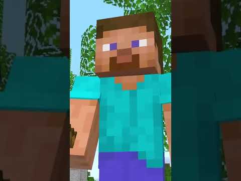 Parpadeando En Minecraft
