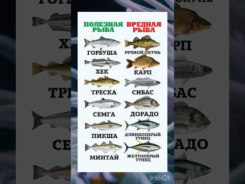 Полезная и вредная Рыба
