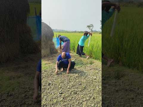 বিটলার বিটলামি দেখেন  #subscribe #fyp #funny #shorts #short #video #trending #youtubeshorts #fyp