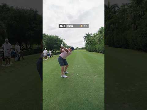 Challenging pro golfers to birdie with only one club #golf