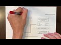 Gas Laws and Kinetic Theory Concepts