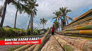Aku Berburu Bambu Kualitas Tinggi Untuk Proyek Layangan Baru - BIKIN APA YA ENAKNYA?