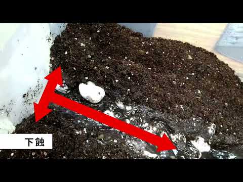 2022青少年科普影片製作比賽 初中組 LS-V241-Sef 河流侵蝕作用 - YouTube
