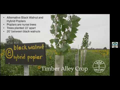 Conservation and Economic Benefits of Alley Cropping