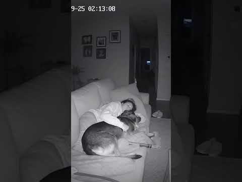 Dog Protects Blind Women from Evil Entity in House