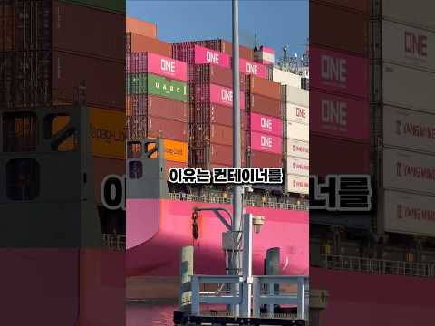 높은파도에도 컨테이너가 쓰러지지 않는 이유