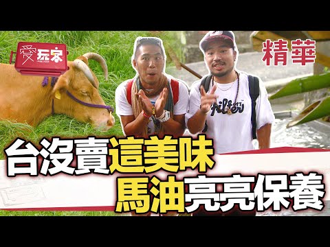台灣沒賣 為什麼那麼好吃！能外敷不能內用的馬油【週一愛玩客】自由發揮精華｜20120730