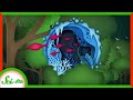 Adaptations and Evolution in Nature