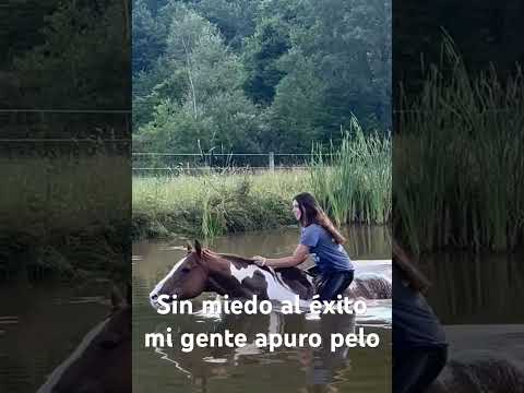 A puro pelo sin miedo al éxito