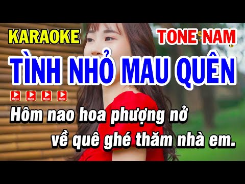 Karaoke Tình Nhỏ Mau Quên Tone Nam Cm ( Beat Hay ) – Karaoke Phi Long