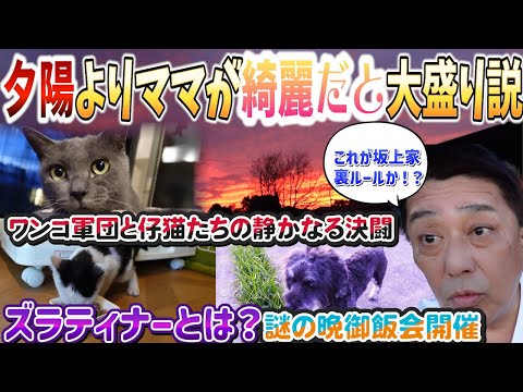 夕陽よりママさんが綺麗だと…ご飯が増える!? 坂上家の謎ルール発動!