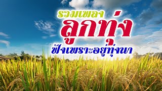 รวมเพลงลูกทุ่ง ฟังเพราะฟังม่วนอยู่ทุ่งนา