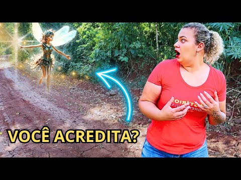 FADA APARECE NO NOSSO JARDIM- SPIRITBOX