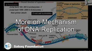 More on Mechanism of DNA Replication