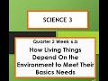 Ecology and Food Chain Concepts