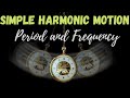 Simple Harmonic Motion Concepts