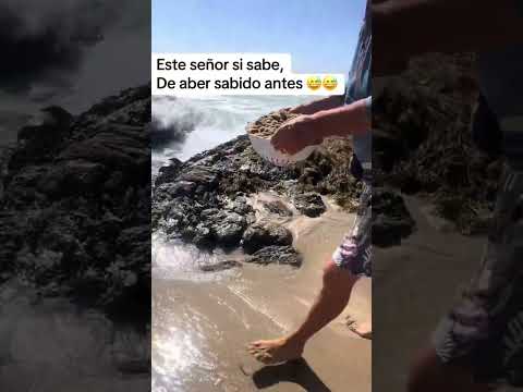 Chiquiliques en la costa grandes #pesca #pescador #mar