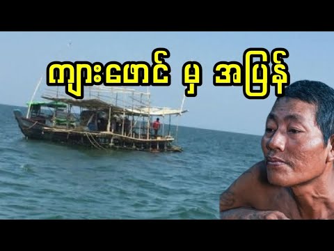 ကျားဖောင်မှ အပြန်