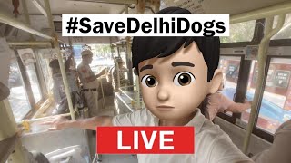 Street Dog Pluto is live